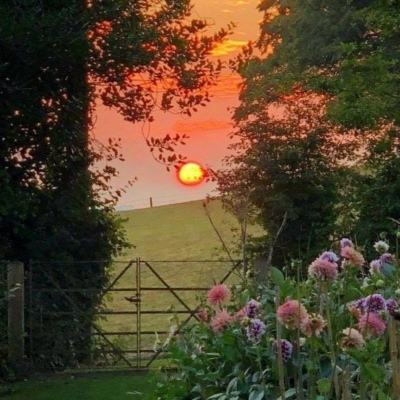 利发app手机登陆