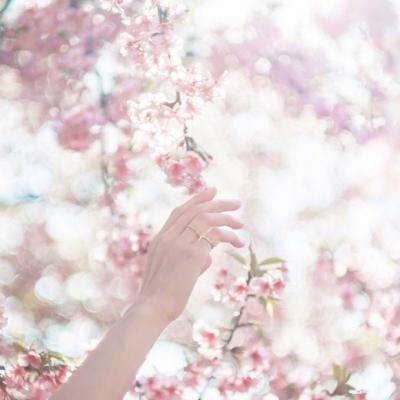 百人牛牛游戏下载手机版